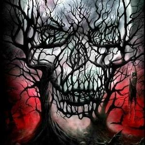 Meet your Posher, Cathy